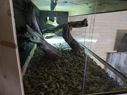 TERRARIUM W KOLORZE DĄB CRAFT GOLD