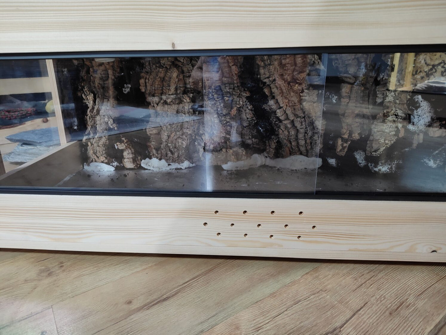 TERRARIUM W KOLORZE DREWNA BRZOZOWEGO